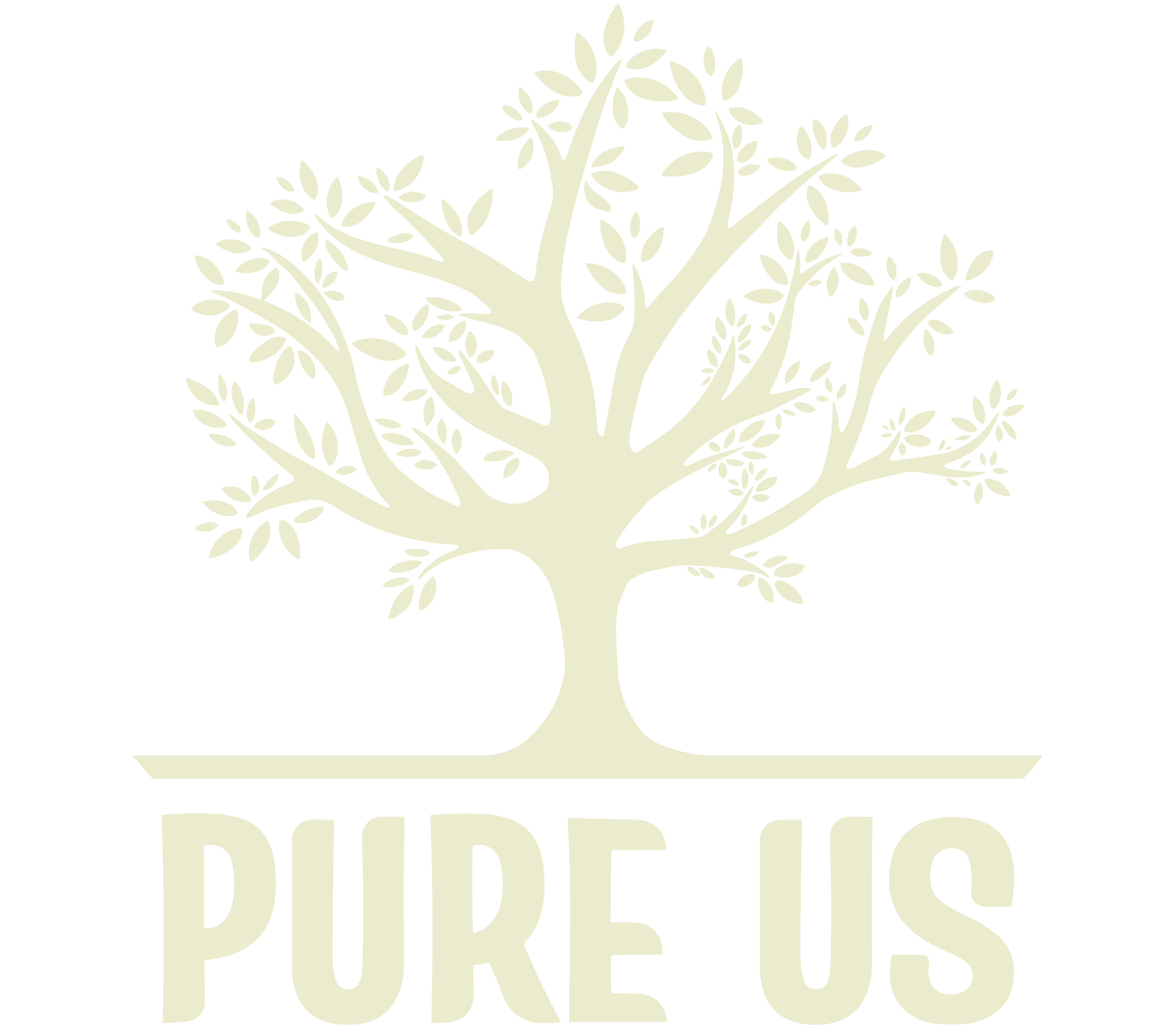 Pure Us